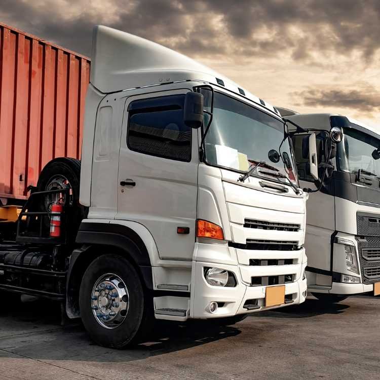 Fleet of heavy-duty transport trucks ready for dispatch